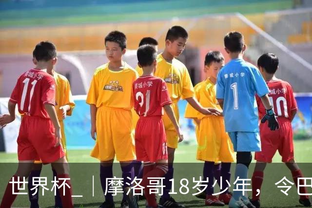 世界杯 ｜摩洛哥18岁少年，令巴西中场尽失锋芒